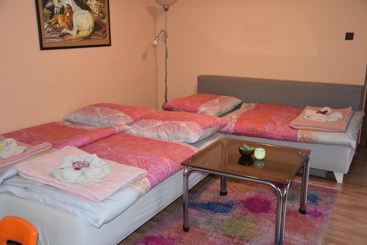 Appartement Dafinka à Banská Bystrica Extérieur photo