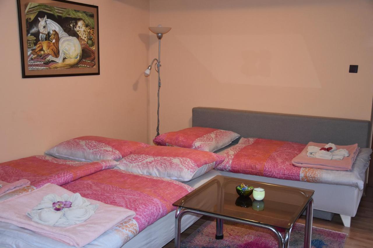 Appartement Dafinka à Banská Bystrica Extérieur photo